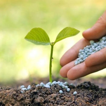 Organomineral Nitrogen Granular Fertilisers