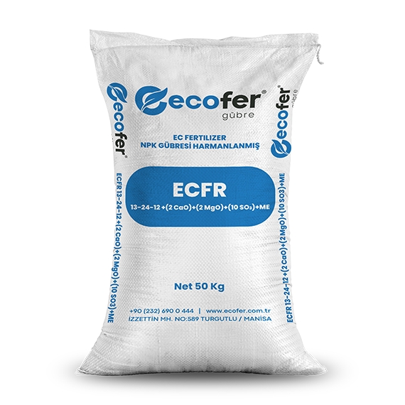 ECFR 13-24-12+(2 CaO)+(2 MgO)+(10 SO3)+ME
